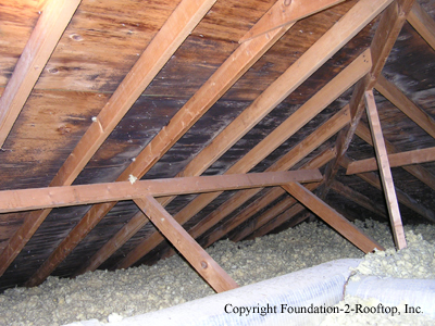 Mold growth in the attic.