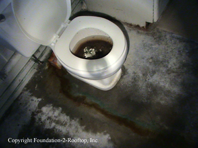 Nasty toilet on this Listing Agent's property.