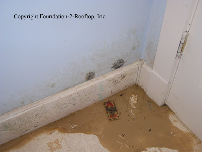 Wood foundation leaking and basement taking on water.