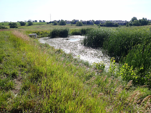 2021-07-19 Drainage Issues (Omaha Home Inspection)